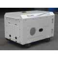 Bison China Zhejiang Super Silent Air Cooled Diesel Power Generator Starting Handle